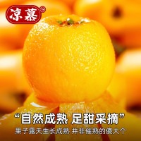 涼慕四川清甜米易枇杷新鮮應季時令水果批發(fā)枇杷孕婦水果甜糯枇杷